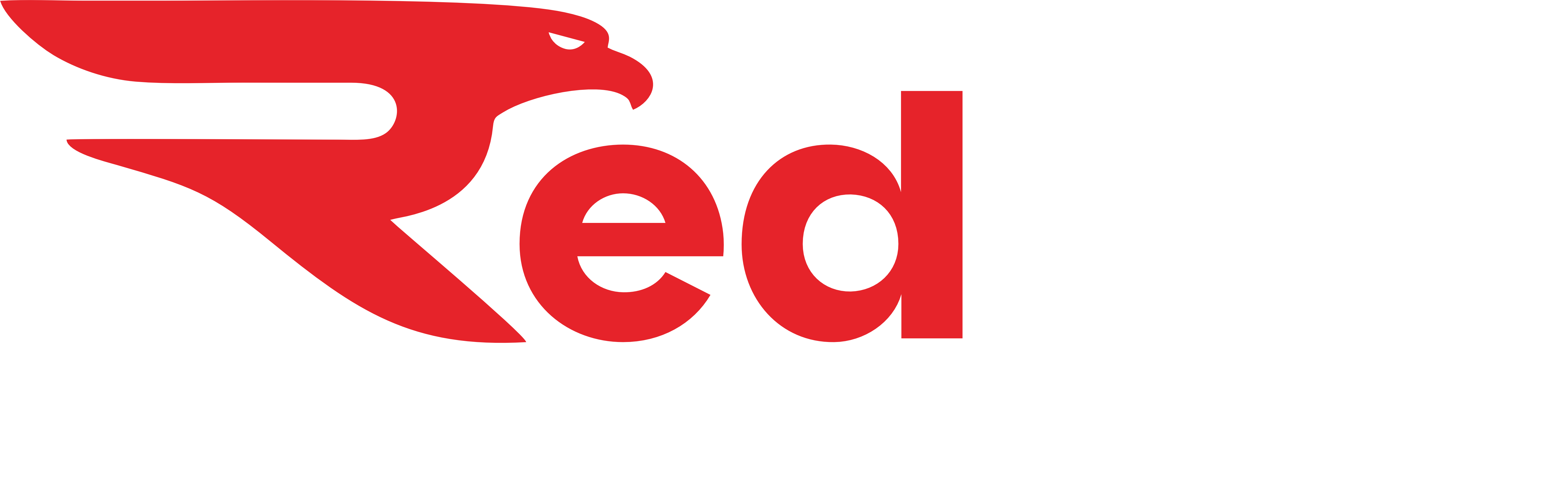RedPro Logo
