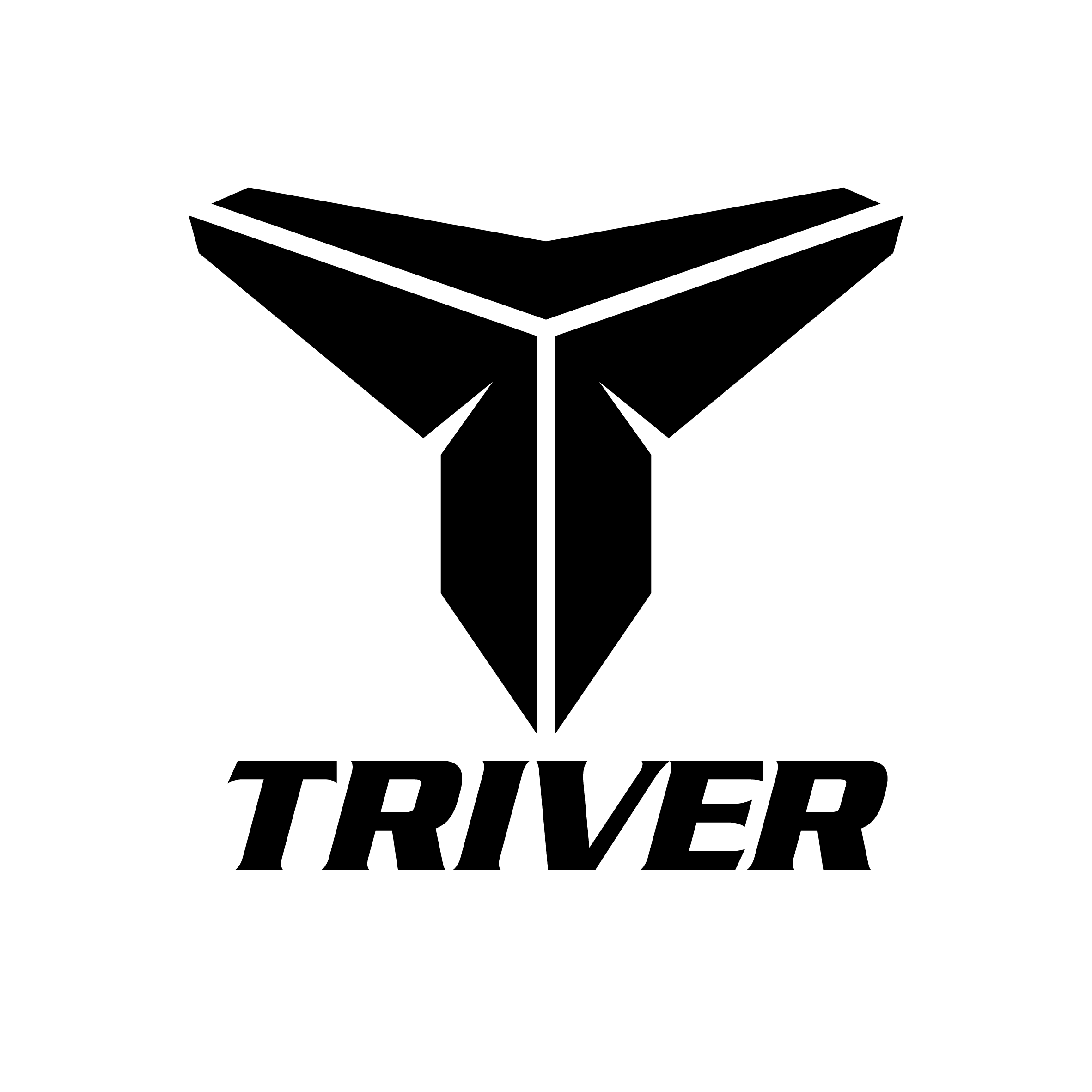 Logo Triver